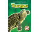 Turtles Audiobook