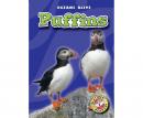 Puffins Audiobook