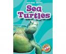 Sea Turtles Audiobook