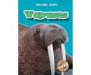 Walruses Audiobook