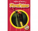 Fireflies Audiobook
