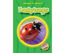 Ladybugs Audiobook