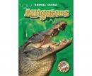 Alligators Audiobook