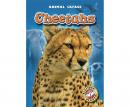 Cheetahs Audiobook