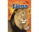 Lions Audiobook