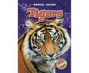 Tigers Audiobook