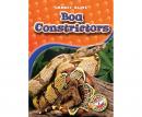 Boa Constrictors Audiobook