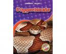 Copperheads Audiobook