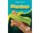 Mambas Audiobook