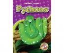 Pythons Audiobook