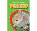 Bunnies Audiobook