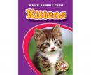 Kittens Audiobook