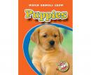 Puppies Audiobook