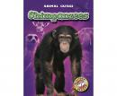 Chimpanzees Audiobook