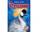 Cranes Audiobook