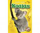 Koalas Audiobook