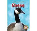 Geese Audiobook