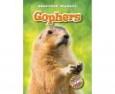 Gophers Audiobook