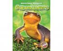 Salamanders Audiobook