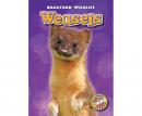 Weasels Audiobook