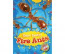 Fire Ants Audiobook