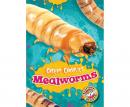 Mealworms Audiobook