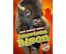 American Bison: Blastoff! Readers: Level 3 Audiobook