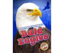 Bald Eagles: Blastoff! Readers: Level 3 Audiobook