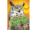 Great-horned Owls: Blastoff! Readers: Level 3 Audiobook