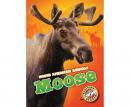 Moose: Blastoff! Readers: Level 3 Audiobook