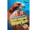 Red-tailed Hawks: Blastoff! Readers: Level 3 Audiobook