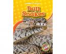 Bull Snakes: Blastoff! Readers: Level 3 Audiobook