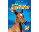 Baby Horses: Blastoff! Readers: Level 1 Audiobook