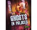 Ghosts in Palaces Audiobook