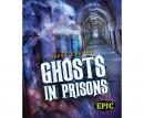 Ghosts in Prisons Audiobook
