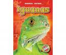 Iguanas Audiobook