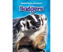 Badgers Audiobook