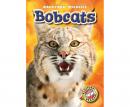 Bobcats Audiobook