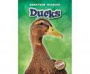 Ducks Audiobook