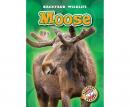 Moose Audiobook