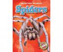 Spiders, Megan Borgert-Spaniol
