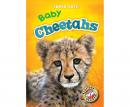 Baby Cheetahs Audiobook