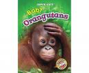 Baby Orangutans Audiobook