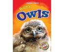 Baby Owls Audiobook