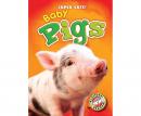 Baby Pigs Audiobook