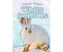 White Animals Audiobook