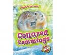 Collared Lemmings Audiobook