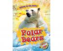 Polar Bears Audiobook