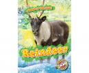 Reindeer Audiobook