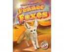 Fennec Foxes Audiobook